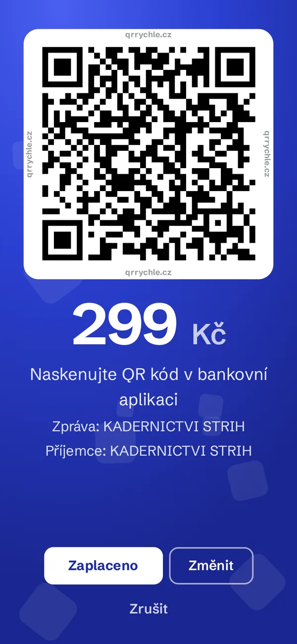QR platba na 299 Kč